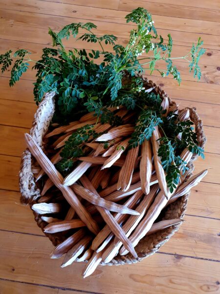 שמן מורינגה ולוטוס כחול, אורגני 50 מ"ל - 25% הנחה – תמונה 2