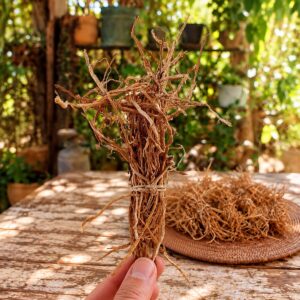 צרור שורשי וטיבר להקטרה מוחזק בקצות האצבעות, וברקע מגש שורשי וטיבר על שולחן בגינה