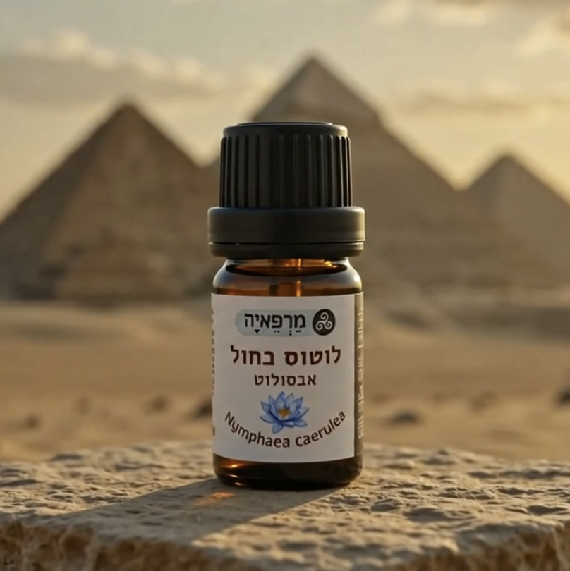 שמן אתרי טהור לוטוס כחול אבסולוט - ריח שהוא גשר בין העולמות 10 / 5 מ"ל – תמונה 3